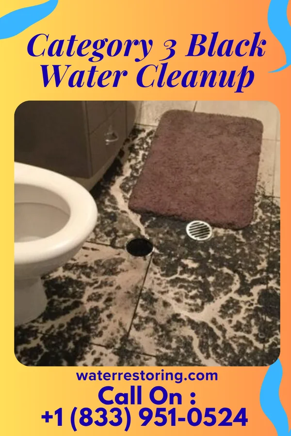 Category 3 Black Water Cleanup in Brownwood, TX