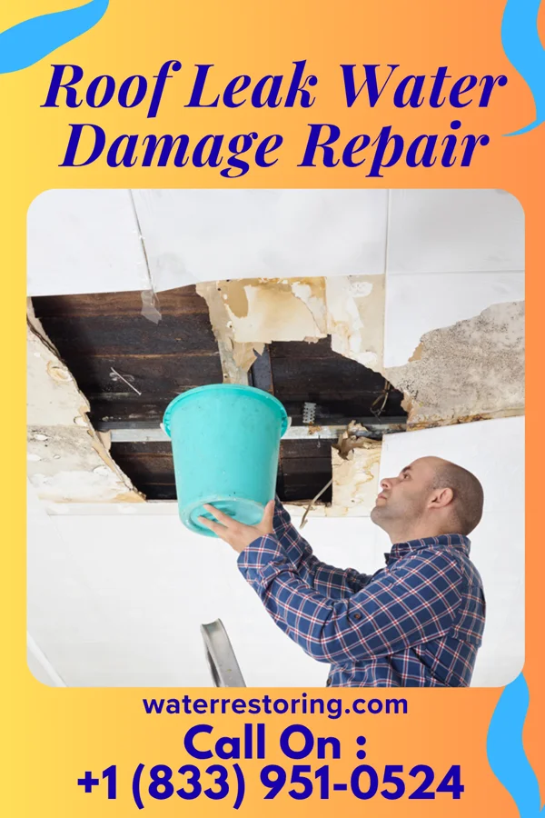 Roof Leak Water Damage Repair in Brownwood, TX